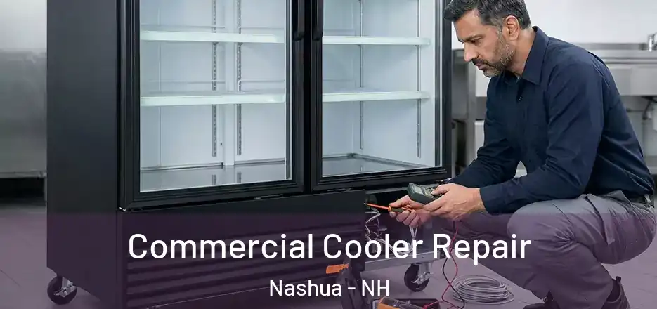 Commercial Cooler Repair Nashua - NH