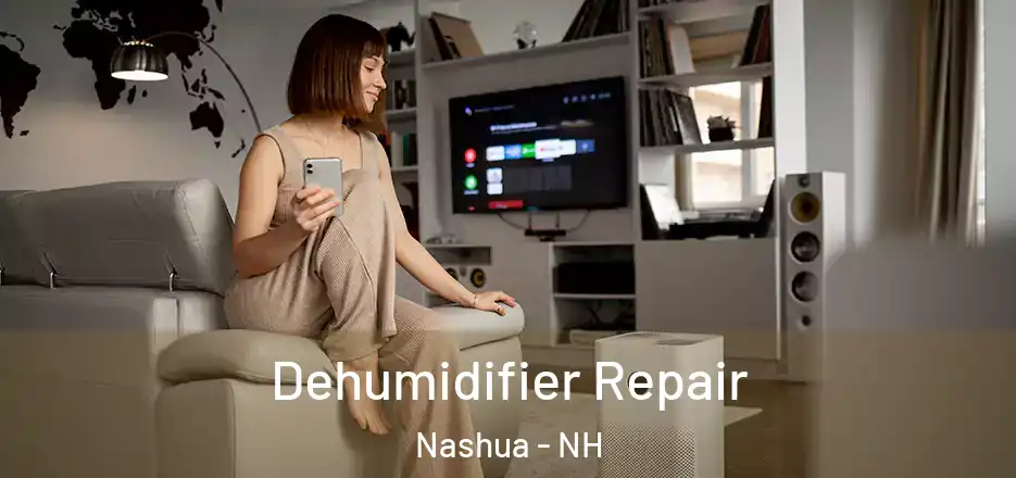 Dehumidifier Repair Nashua - NH