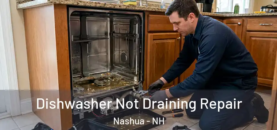 Dishwasher Not Draining Repair Nashua - NH