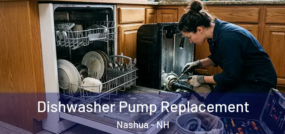 Dishwasher Pump Replacement Nashua - NH