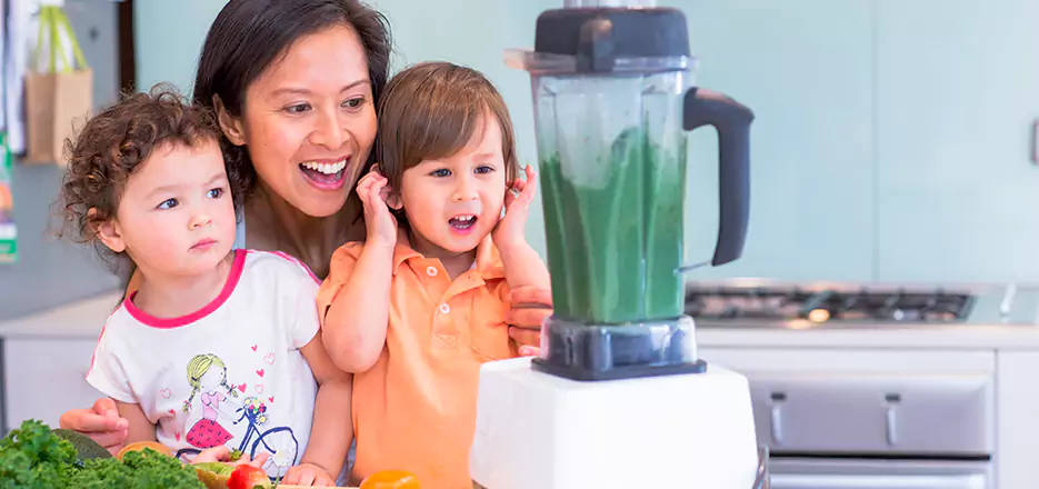 Juicer and Mixer Blender Repair in Nashua