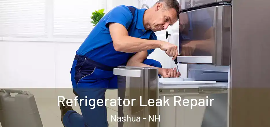  Refrigerator Leak Repair Nashua - NH