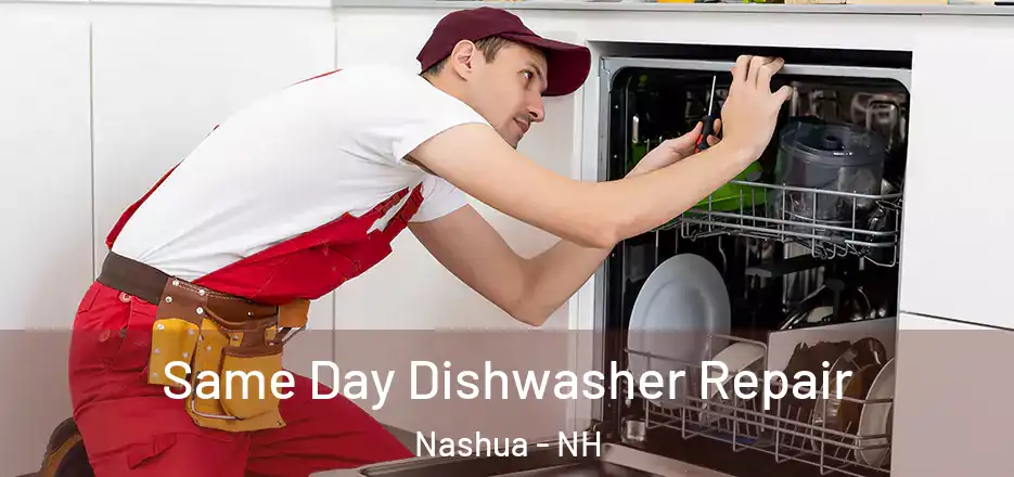 Same Day Dishwasher Repair Nashua - NH