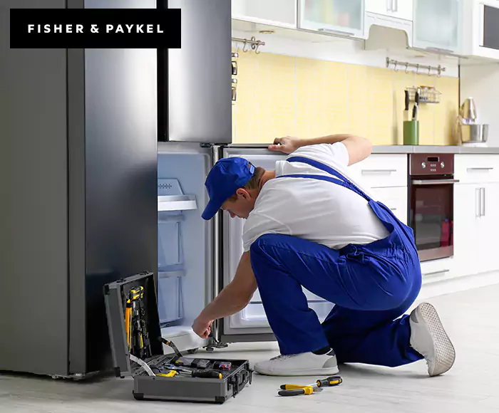 Top-Rated Fisher & Paykel Appliance Experts: Your Brand Specialist in Nashua, NH